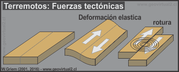 Terremoto tectónico
