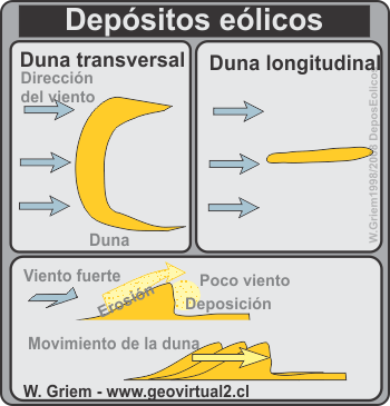 Dunas, estructuras eólicas