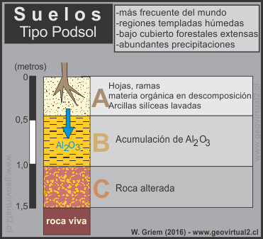 Suelo tipo Podsol