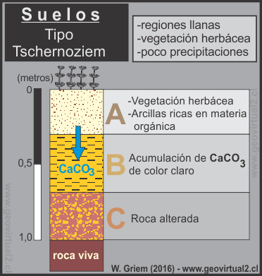 Suelo tipo Tschernoziem, Edafología 