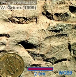 Meteorización química: Marcas de solución