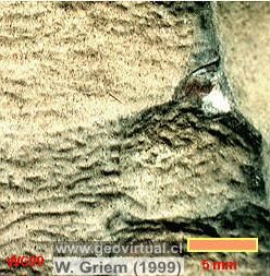 Meteorización química: Marcas de solución