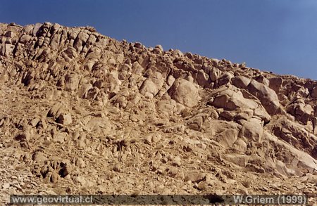 Monzodiorita de Cabeza de Vaca