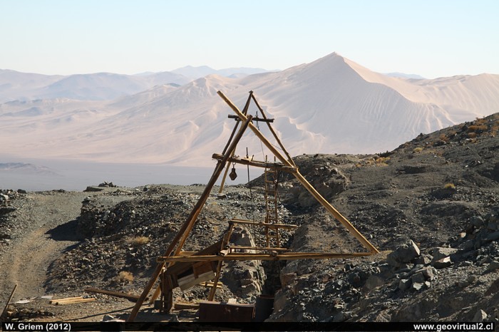 Peinecillo simple en Rajos de Oro de Cachiyuyo de Llampos - Atacama