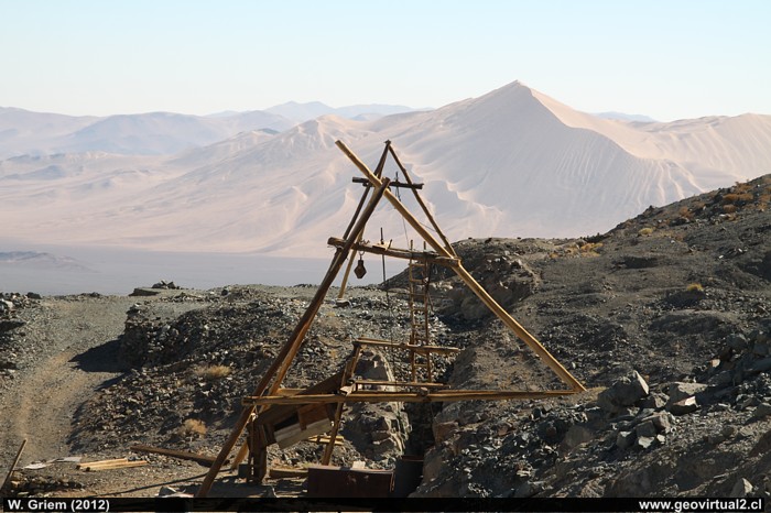 Peinecillo simple en Rajos de Oro de Cachiyuyo de Llampos - Atacama