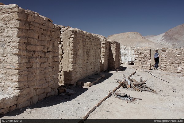 Atacama: Lomas Bayas