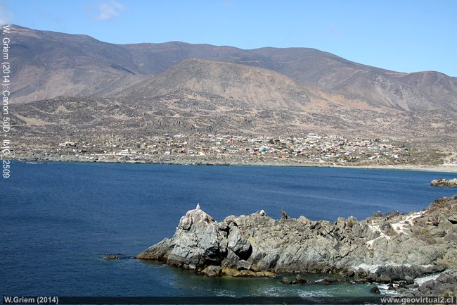 Chungungo en la costa de la Región de Coquimbo, Chile